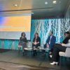 BIRN Hosts Panel Session at SEEDIG 10