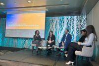 BIRN Hosts Panel Session at SEEDIG 10