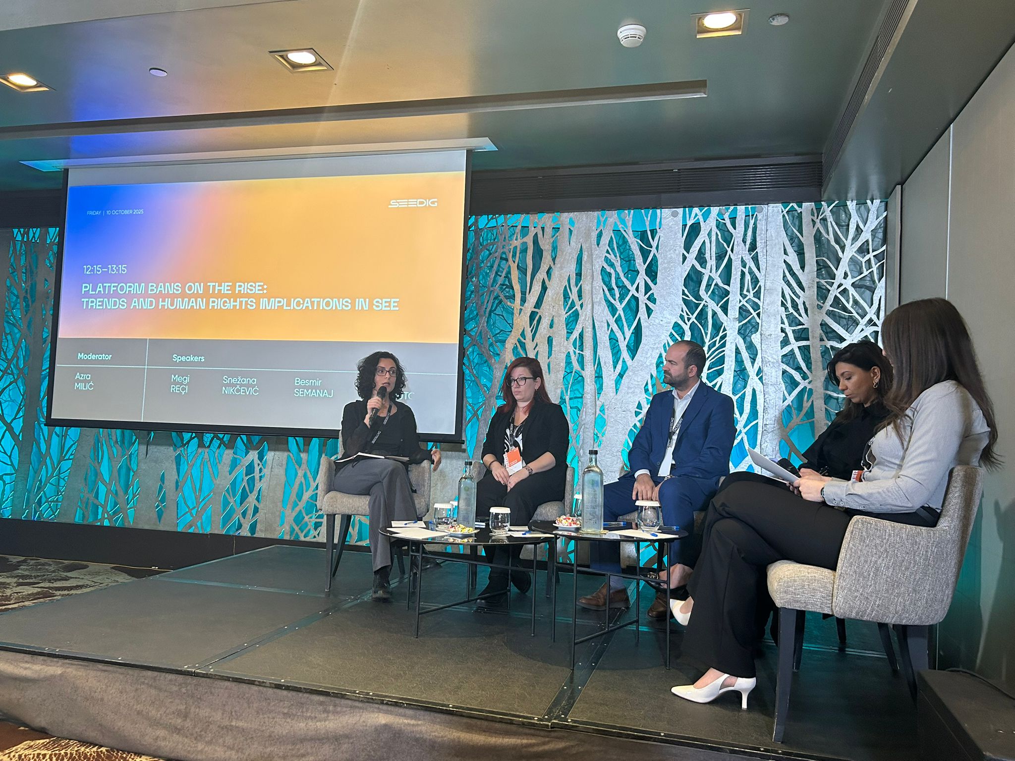 BIRN Hosts Panel Session at SEEDIG 10